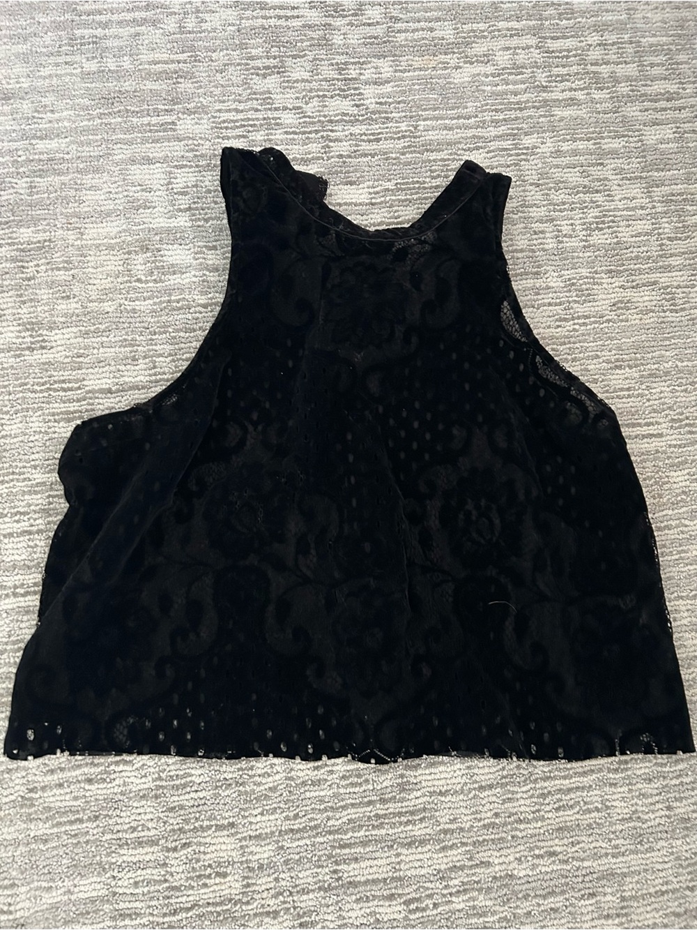 Free People Black Velvet Floral Crop Tank